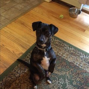 Please Don't Make Me Beg!  Sale! Bundle & Save!l