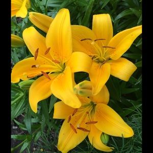 Meet your Posher, Beth