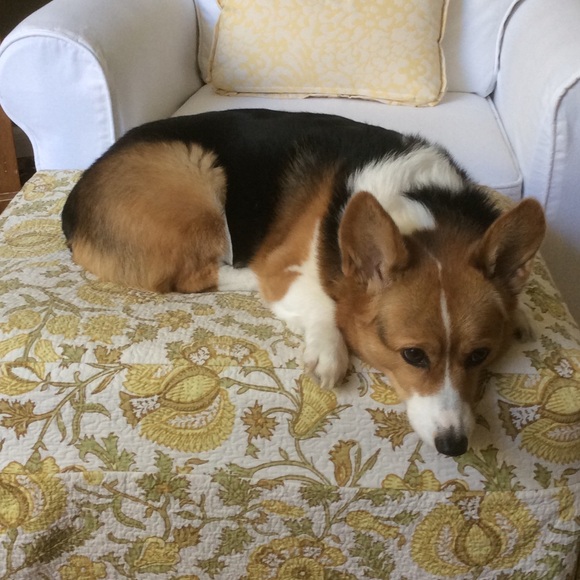 Meet your Posher, Maryann - Picture 2 of 2