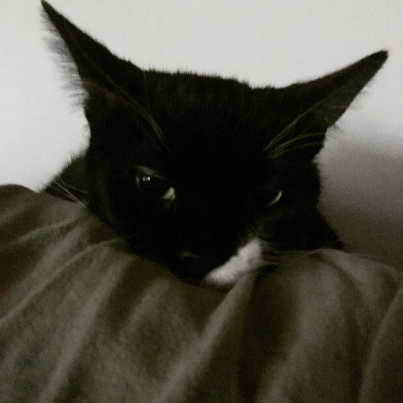 I’m now a Posh Ambassador!!! - Picture 3 of 3