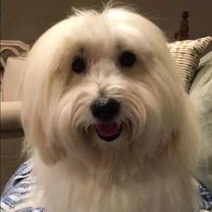 Meet your Posher, Leah