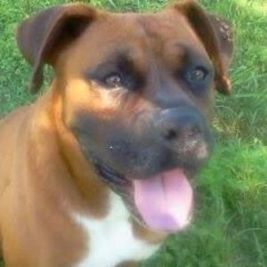 Meet your Posher, William