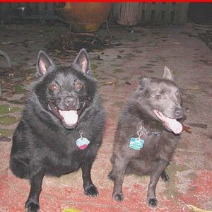 Meet your Posher, Tena