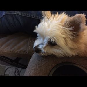 Meet your Posher, Susan