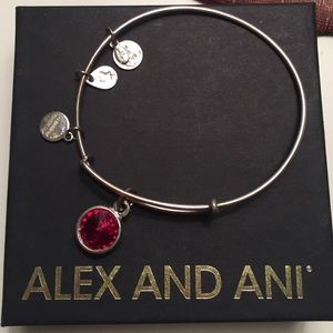 Garnet stone Alex and Ani