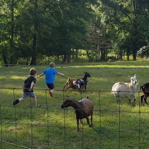 Meet your Posher, Dawn