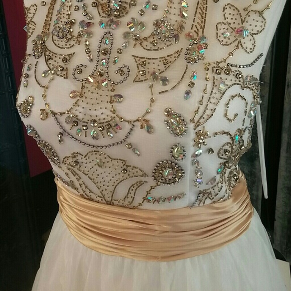 Coya Formal Ball Gown - Picture 2 of 4