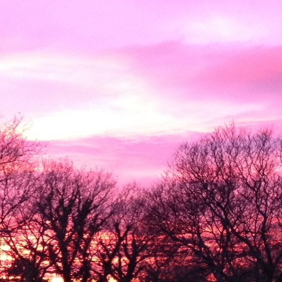 Meet your Posher, Louise