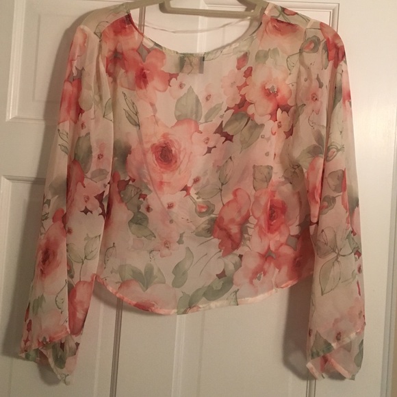 Sheer Floral Crop Top Blouse - Picture 4 of 4