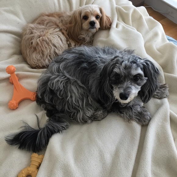 Meet your Posher, Eriko - Picture 2 of 2