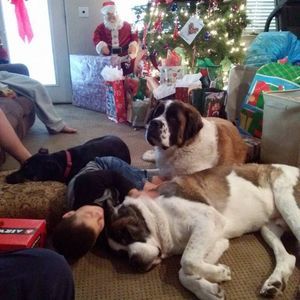 Meet your Posher, Sherry