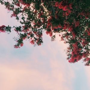 Meet your Posher, Giavanna