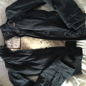 hollister coat