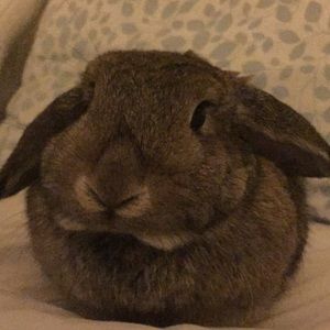 Meet your Posher, Arietta