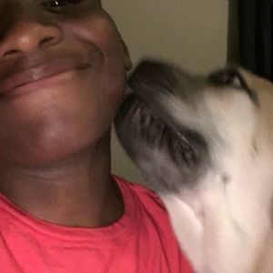 Meet your Posher, Blake