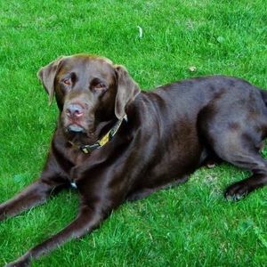 Meet your Posher, Don