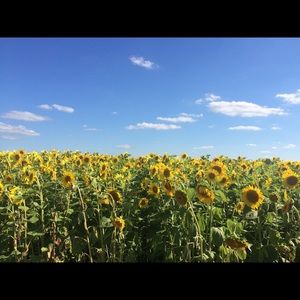 Meet your Posher, Allison