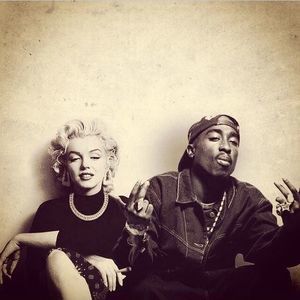 Meet your Posher, Genesis