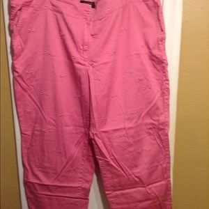 Pink dragonfly Capri