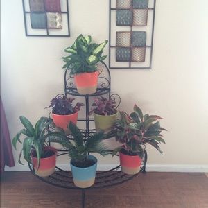 Meet your Posher, Vivian