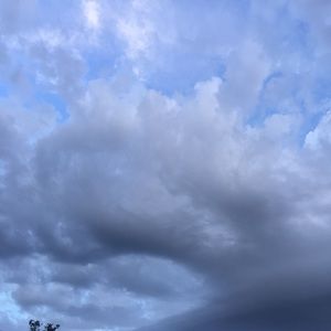 Meet your Posher, Nidia