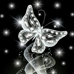 Meet your Posher, Chantel