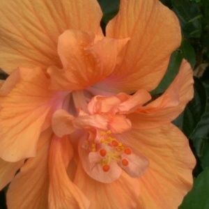 Meet your Posher, June