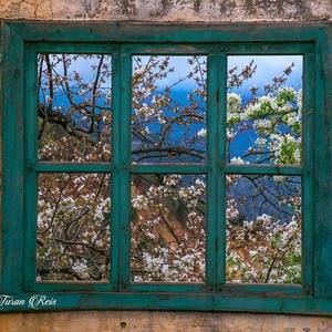 Meet your Posher, Carolina