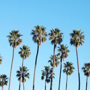 Meet your Posher, Kaitlyn