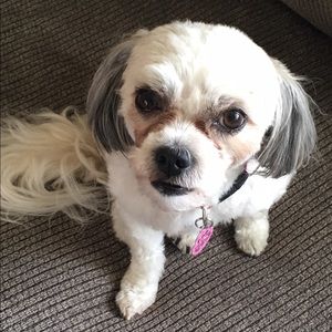 Meet your Posher, Alisha