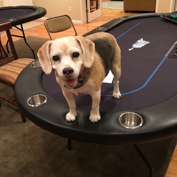 Meet your Posher, Suzy