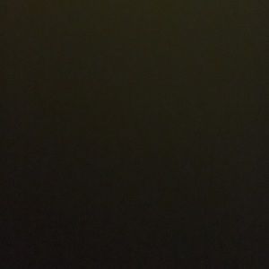 Meet your Posher, Carolin