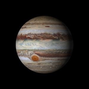 Meet your Posher, Ivan