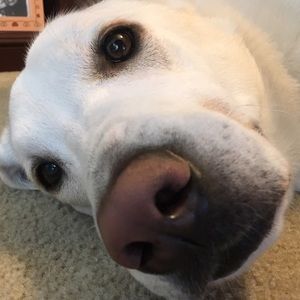 Meet your Posher, Roxana