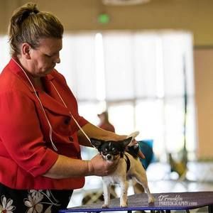 Meet your Posher, Donna