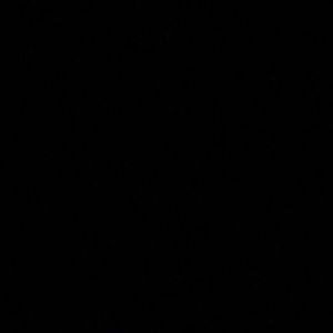 Meet your Posher, Barbie