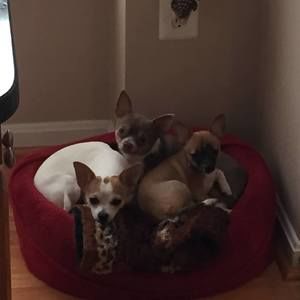 Meet your Posher, Deanna