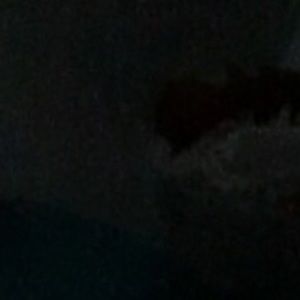 Meet your Posher, Salma