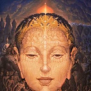 Meet your Posher, Jody