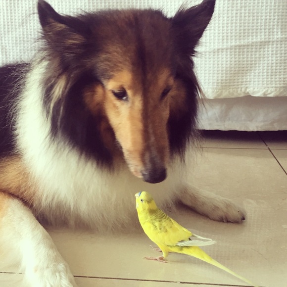 Meet your Posher, Nathalie