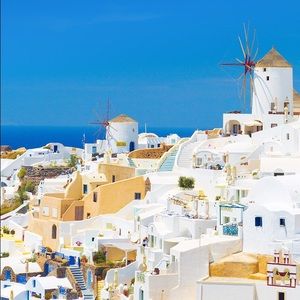 Meet your Posher, Shelley