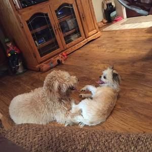 Meet your Posher, Lenna