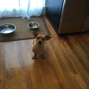 Meet your Posher, Kristina