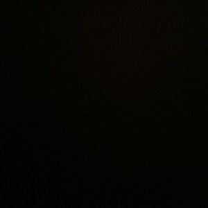 Meet your Posher, Timmy