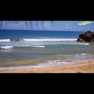 Meet your Posher, Lucy i.