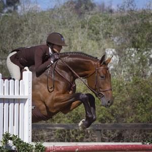 Meet your Posher, Victoria