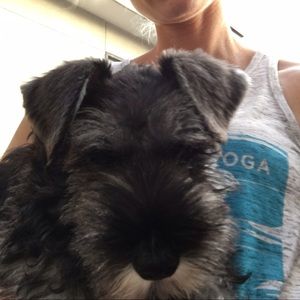 Meet your Posher, Melissa