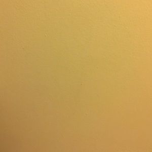 Meet your Posher, Zion