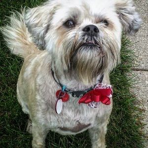 Meet your Posher, Jenifer