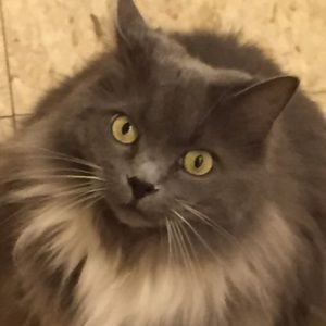 Meet your Posher, Felicia